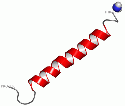 Image NMR Structure - manually