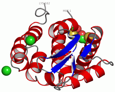 Image Asym./Biol. Unit - manually