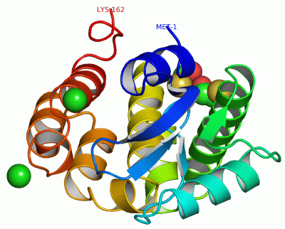 Image Asym./Biol. Unit - manually