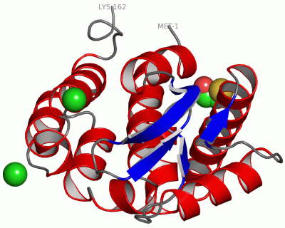 Image Asym./Biol. Unit - manually