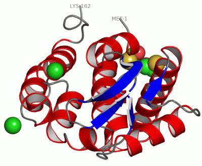 Image Asym./Biol. Unit - manually