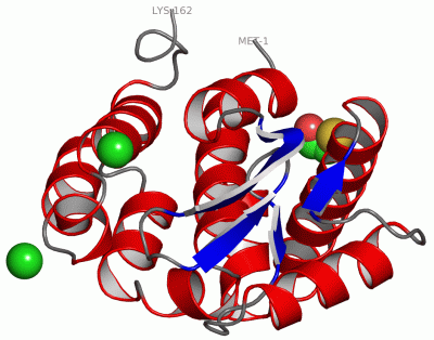 Image Asym./Biol. Unit - manually