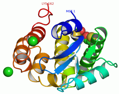 Image Asym./Biol. Unit - manually