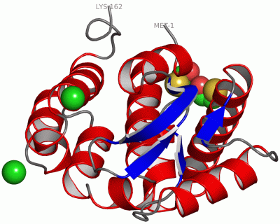 Image Asym./Biol. Unit - manually