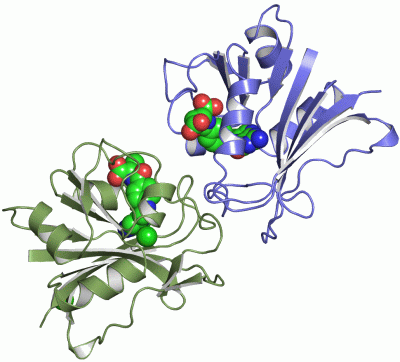 Image Asym./Biol. Unit - manually