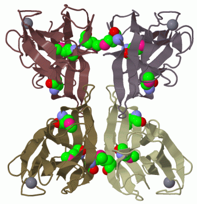 Image Biol.Unit 1 - manually