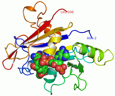 Image Asym./Biol. Unit - manually