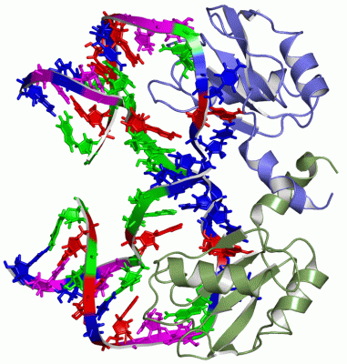 Image NMR Structure - manually