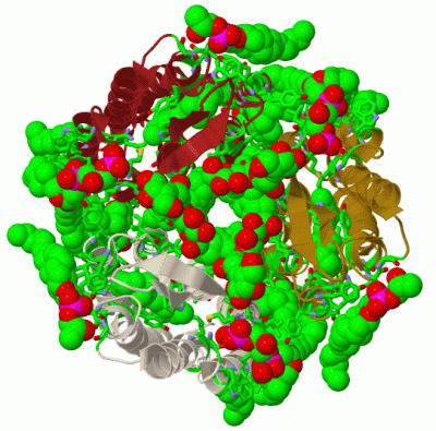 Image Biol.Unit 1 - manually