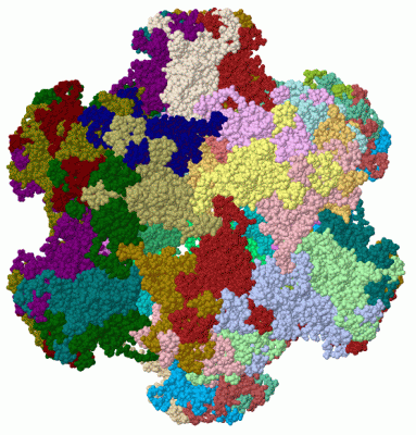 Image Biol.Unit 1 - manually