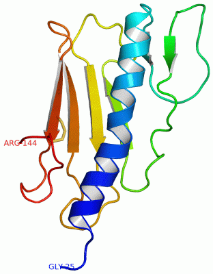 Image Asym./Biol. Unit - manually