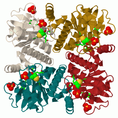 Image Biol.Unit 1 - manually