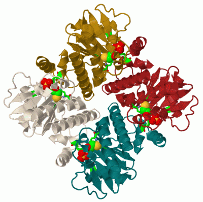 Image Biol.Unit 1 - manually