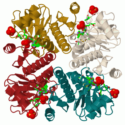 Image Biol.Unit 1 - manually