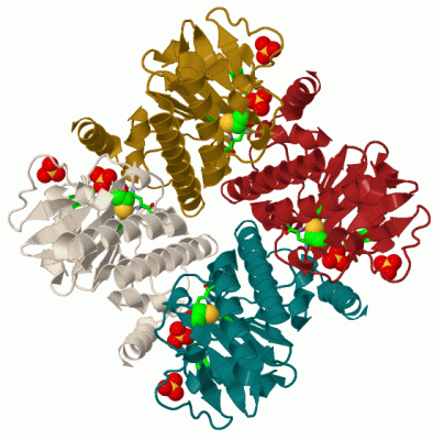 Image Biol.Unit 1 - manually