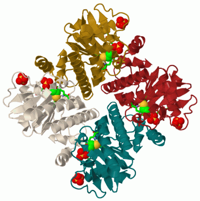 Image Biol.Unit 1 - manually