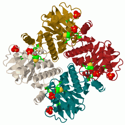 Image Biol.Unit 1 - manually