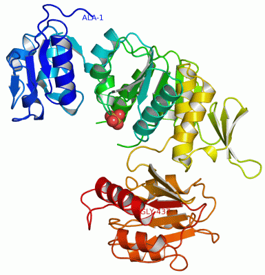 Image Asym./Biol. Unit - manually