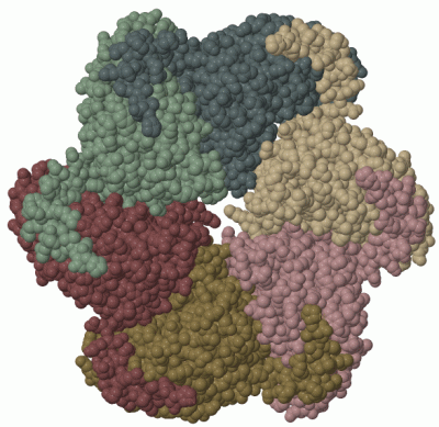 Image Biol.Unit 1 - manually