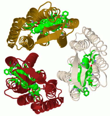 Image Biol.Unit 1 - manually