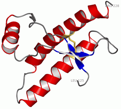 Image NMR Structure - manually