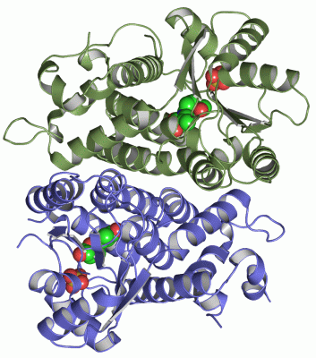 Image Asym./Biol. Unit - manually