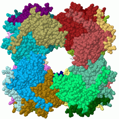 Image Biol.Unit 1 - manually