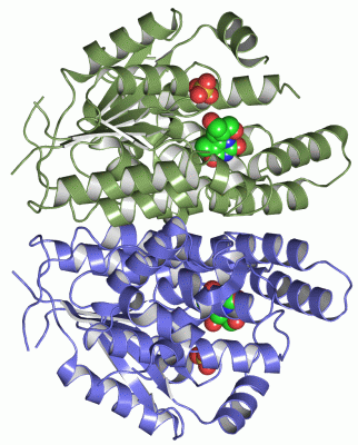 Image Asym./Biol. Unit - manually