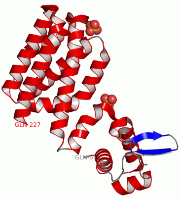 Image Asym.Unit - manually