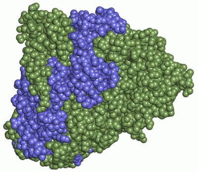 Image Asym./Biol. Unit - manually