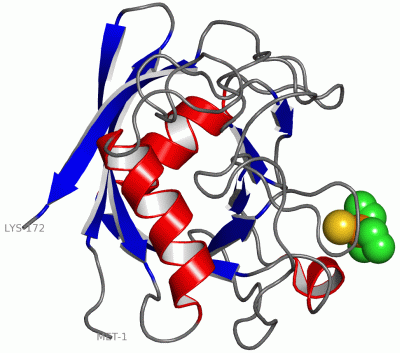 Image Asym./Biol. Unit - manually