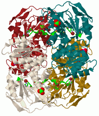 Image Biol.Unit 1 - manually