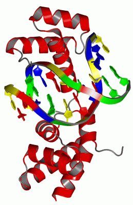 Image Asym./Biol. Unit - manually