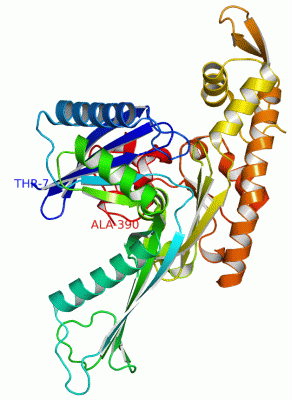 Image Asym./Biol. Unit - manually