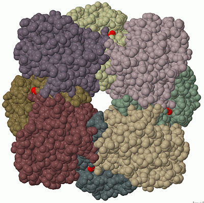 Image Biol.Unit 1 - manually