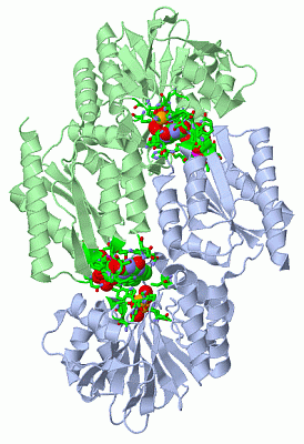 Image Asym./Biol. Unit - manually