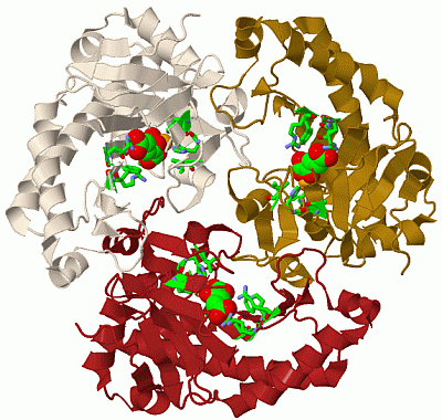 Image Biol.Unit 1 - manually