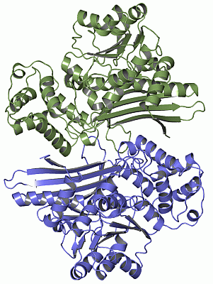 Image Asym./Biol. Unit - manually