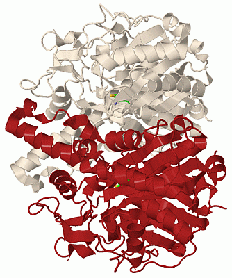 Image Biol.Unit 1 - manually