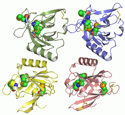 Image Asym.Unit - manually