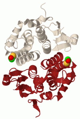 Image Biol.Unit 1 - manually