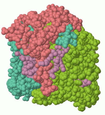 Image Asym./Biol. Unit - manually