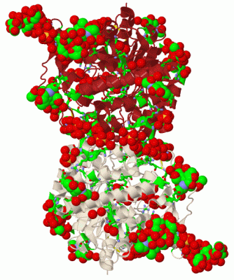 Image Biol.Unit 1 - manually