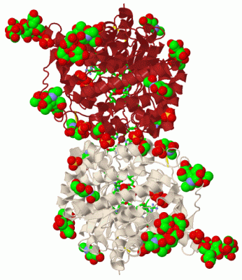 Image Biol.Unit 1 - manually