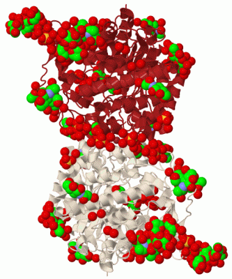 Image Biol.Unit 1 - manually