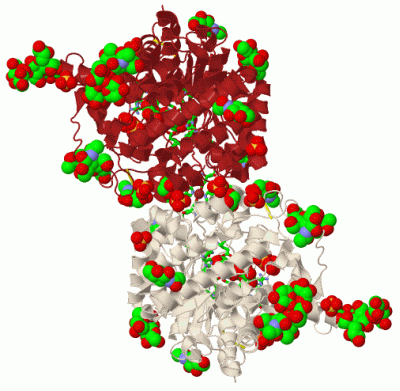 Image Biol.Unit 1 - manually