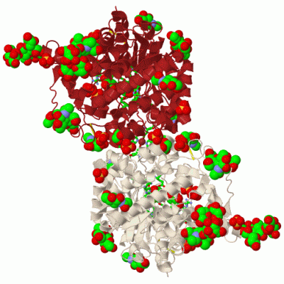 Image Biol.Unit 1 - manually