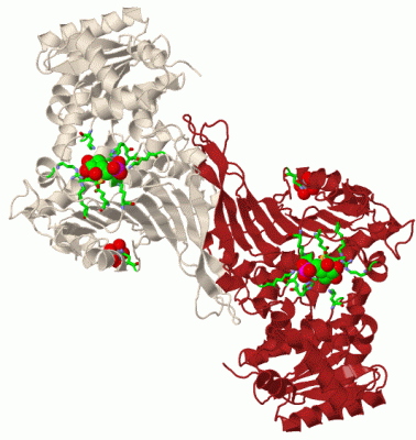 Image Biol.Unit 1 - manually