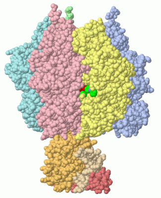 Image Asym./Biol. Unit - manually