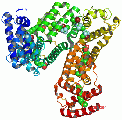 Image Asym./Biol. Unit - manually